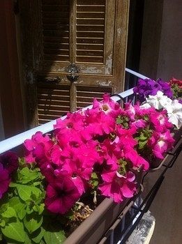 Hostel Altea Nizza Exterior foto